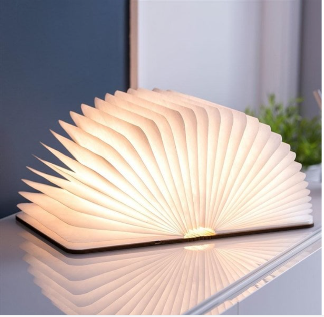 lampe livre 1